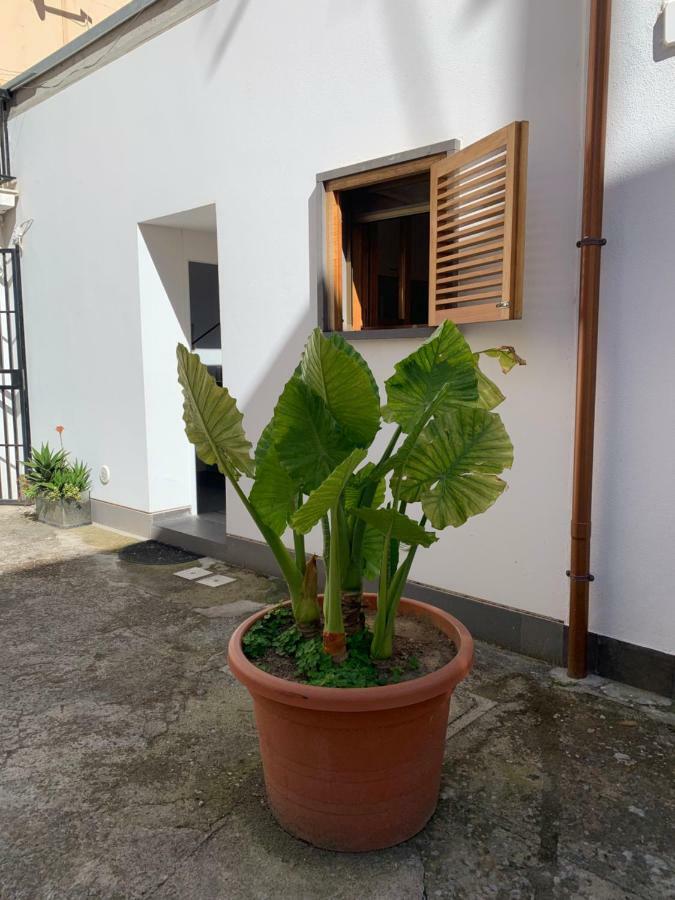 Apartment Arco 37 Alghero